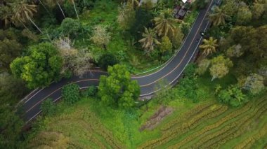 4k drone stok görüntüsü. Yeşil pirinç tarlasının en üst görüntüsü. Bali adasında, yolda arabalar ve hareket bulanıklığı var. 