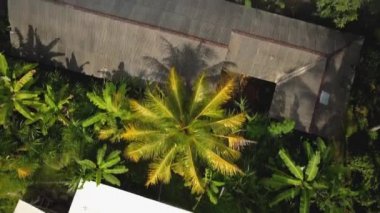 4k drone stok görüntüsü. Yeşil pirinç tarlasının en üst görüntüsü. Bali adasında eski bir evin çatısı var.