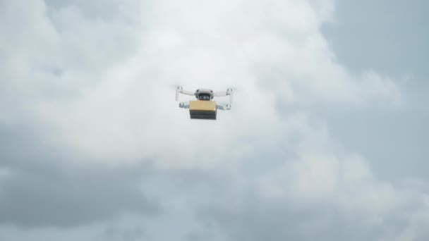 Videofelvétel Egy Repülő Drónról Kartondobozzal Kezében — Stock videók