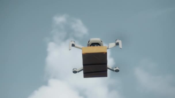 Vidéo Vol Sur Drone Livraison Ciel Avec Colis Carton — Video