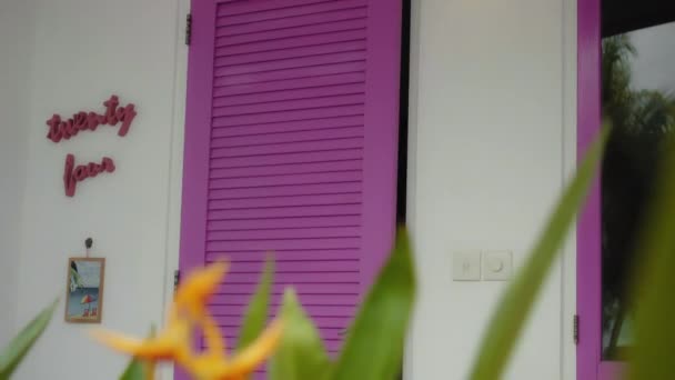 Young Beautiful European Girl Brunette Leaving Home Opening Pink Door — Stock Video