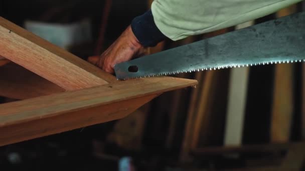Filmagem Mestre Velho Com Mãos Enrugadas Martelos Pregos Uma Placa — Vídeo de Stock