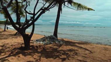 Plaj kirliliği. Plastik çöp ve deniz sahilindeki diğer çöplerin 4K videosu. Ekolojik kavram