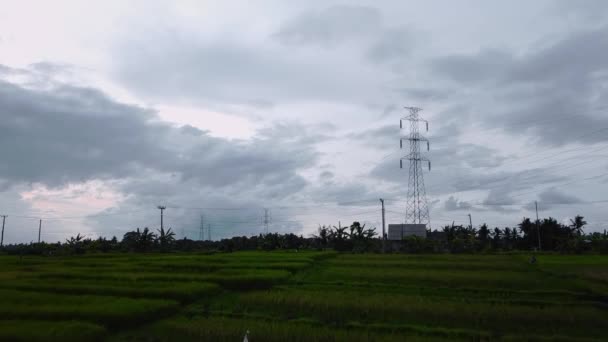 Aerial Drone View Newly Constructed Electric Transmission Tower Green Rice — Stock Video