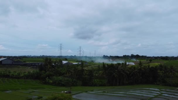 Aerial Drone View Newly Constructed Electric Transmission Tower Green Rice — Stock Video