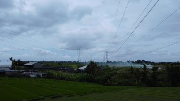 Вид Повітряний Дрон Нещодавно Побудованої Вежі Електропередачі Зеленому Рисовому Полі — стокове відео