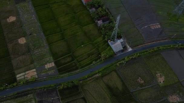 Letecký Pohled Nově Postavenou Elektrickou Vysílací Věž Zeleném Rýžovém Poli — Stock video