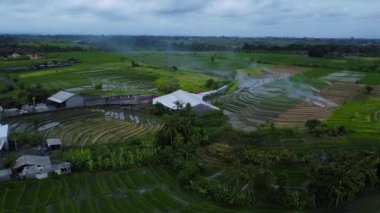 Gün batımında yeşil pirinç tarlasında yeni inşa edilmiş bir elektrik iletim kulesinin hava aracı görüntüsü.