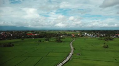 4k drone stok görüntüsü, hareket bulanıklığı olan bir Bali Adası 'ndaki yeşil pirinç tarlasının en üst görüntüsü. 