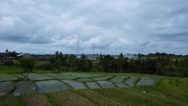 Vista Aérea Drone Uma Torre Transmissão Elétrica Recém Construída Campo — Vídeo de Stock