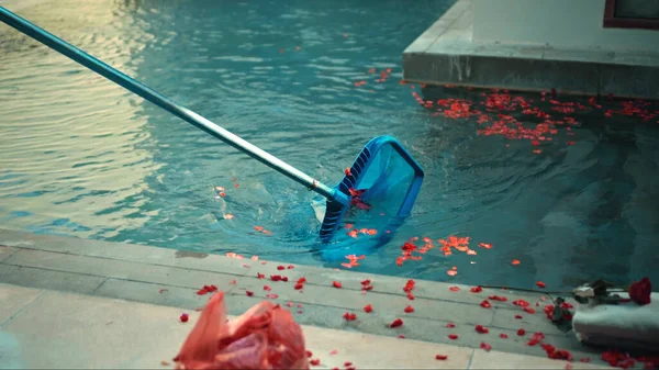 Piscina Limpeza Com Água Azul Pétalas Flores Vermelhas Ferramenta Com — Fotografia de Stock