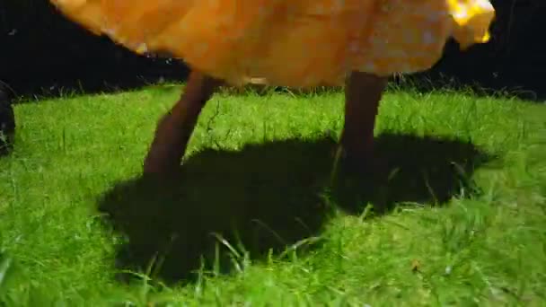 Ein Junges Mädchen Tanzt Auf Gras Hinterhof Mit Grünem Garten — Stockvideo