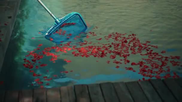꽃잎에서 나오는 파란색 수영장을 청소하고 마당에 막대에 메시를 도구를 — 비디오