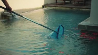 Kırmızı çiçek yapraklarından mavi su ile yüzme havuzu temizleme, bahçede uzun bir çubuk üzerinde ağ ile araç