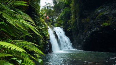 Yeşil bitkiler, ağaçlar ve suyun nehre döküldüğü tropikal ormanların arasında kayaların olduğu şelale resmi