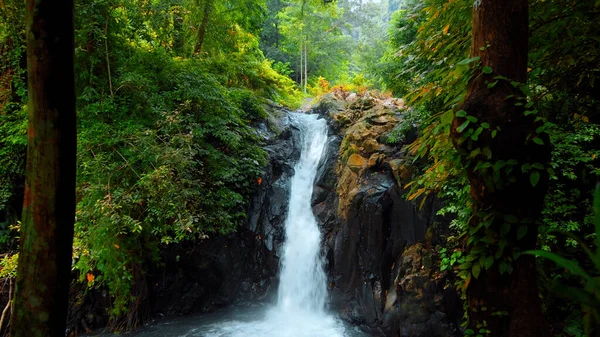 Picture Waterfall Rocks Tropical Jungle Green Plants Trees Water Falling — Stock Photo, Image