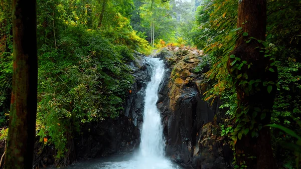 Картина Водоспаду Камінням Серед Тропічних Джунглів Зеленими Рослинами Деревами Водою — стокове фото