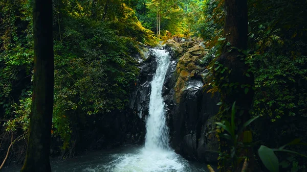Yeşil Bitkiler Ağaçlar Suyun Nehre Döküldüğü Tropikal Ormanların Arasında Kayaların — Stok fotoğraf
