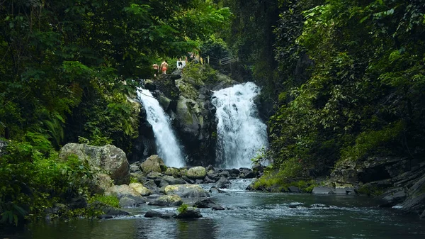 Picture of waterfall with rocks among tropical jungle with green plants and trees and water falling down into river