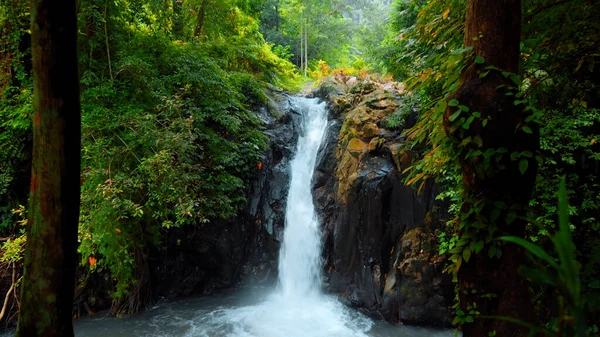 Image Cascade Avec Des Rochers Dans Jungle Tropicale Avec Des Photos De Stock Libres De Droits