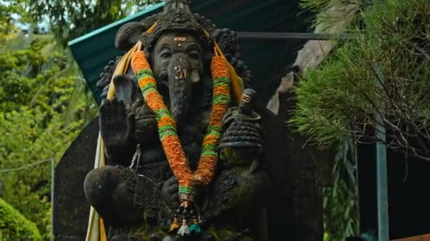 Une Vieille Statue Pierre Ganesha Recouverte Mousse Avec Une Couronne — Video