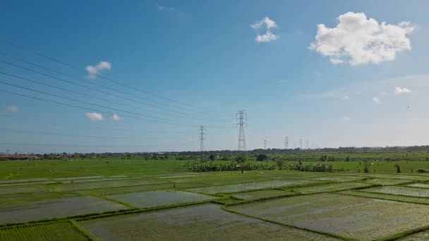 Vídeo Drone Estação Transmissão Elétrica Com Postes Metal Fios Elétricos — Vídeo de Stock