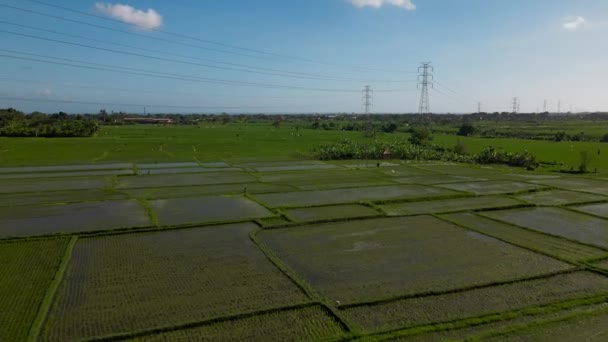 Vídeo Desde Dron Estación Transmisión Eléctrica Con Postes Metálicos Cables — Vídeos de Stock