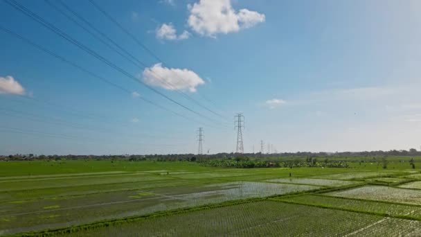 Video Van Drone Van Het Elektrische Transmissiestation Met Metalen Palen — Stockvideo