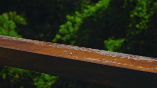 Młoda Europejka Stoi Latem Balkonie Trzymając Dłoń Drewnianą Poręcz Zielonej — Wideo stockowe