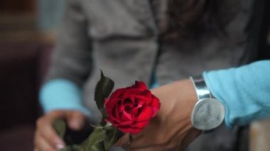 Genç Avrupalı bir kız elinde romantik kırmızı bir gülle kanepede oturuyor.