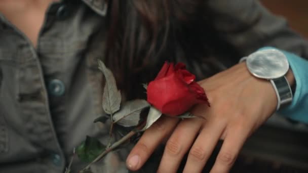 Egy Fiatal Európai Lány Kanapén Kezében Egy Romantikus Vörös Rózsával — Stock videók