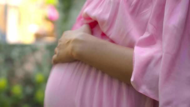 Une Jeune Fille Enceinte Européenne Dans Une Robe Rose Touche — Video