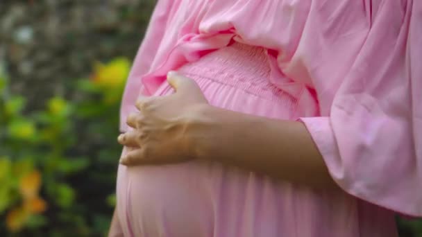 Une Jeune Fille Enceinte Européenne Dans Une Robe Rose Touche — Video