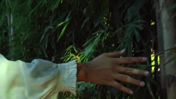 白いドレスを着た暗い肌の少女の手は 裏庭の植物の赤い花に触れます — ストック動画