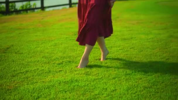 Die Beine Eines Jungen Europäischen Mädchens Gehen Durch Das Gras — Stockvideo