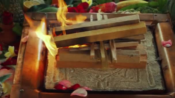 Blommor Och Frukter För Att Erbjuda Vid Yagya Brand Ceremoni — Stockvideo