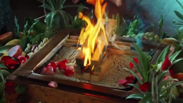 Flowers Fruits Offering Yagya Fire Ceremony Hindu Traditional Holy Ritualflowers — Stock Video