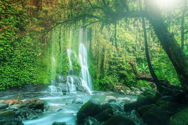 Kuzey Bengkulu Daki Panoramik Şelale Sumatra Dağlarından Akan Ipek Gibi — Stok fotoğraf