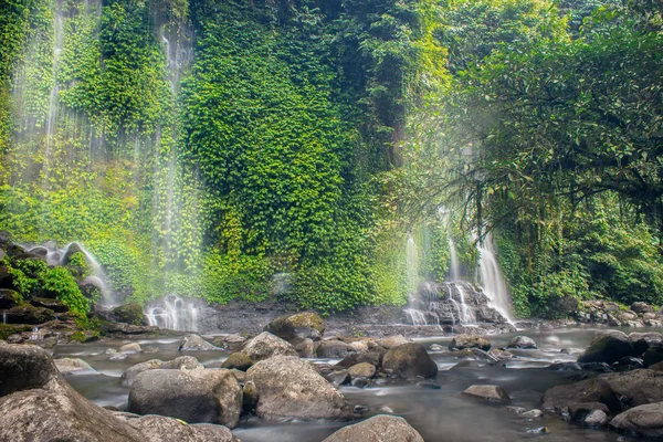 Endonezya Daki Şelalelerin Güzelliği Soğuk Bir Tropikal Ormandadır — Stok fotoğraf