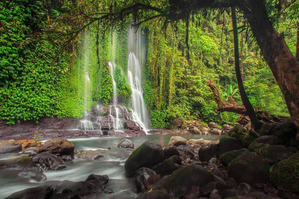 Ukształtowanie Piękna Wodospadu Płynącą Wodą Zielonymi Liśćmi Tropikalnego Lasu — Zdjęcie stockowe
