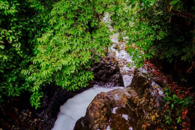 Endonezya 'da yeşil bir ağacın altından geçen bir şelalenin fotoğrafı.