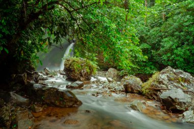 Kuzey Bengkulu, Endonezya 'da soğuk bir sabahta akan güzel bir şelalenin fotoğrafı.