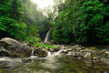 Kuzey Bengkulu, Endonezya 'da serin ve huzurlu sabahlarda akan bir şelalenin güzel bir fotoğrafı.