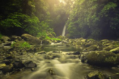 Kuzey Bengkulu, Endonezya 'da soğuk sabahlarda güzel bir şelale manzarasının fotoğrafı