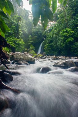 Endonezya 'da sabah güzel yaprakları hafifçe hareket eden su çerçeveli serin bir şelale manzarasının fotoğrafı.