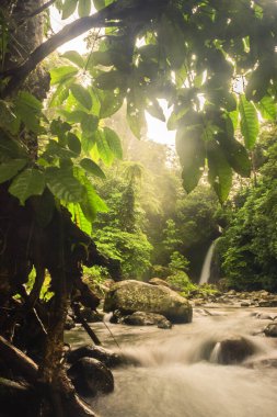 Güzel ağaç yaprakları ve Endonezya sabah güneşiyle hareket eden su çerçeveli serin bir şelale manzarası.