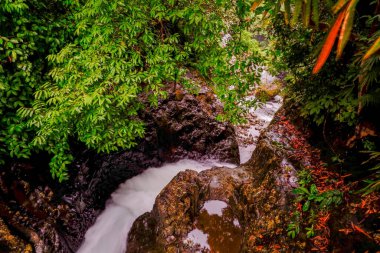Nehir akıntısının fotoğrafı yeşil bir ağacın altındaki kayanın içinden geçen bir şelale.