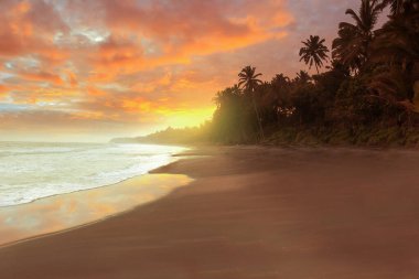 Öğleden sonra plaj manzarası, yakıcı bir günbatımı.