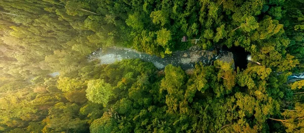 panoramic view of a waterfall in the middle of a tropical rain forest with aerial photos of North Bengkulu, Indonesia