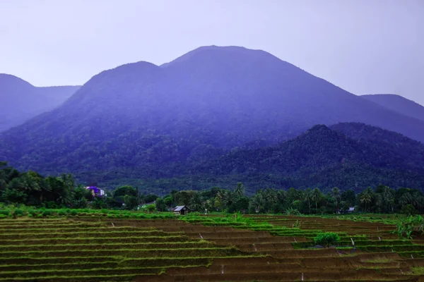 Uitzicht Rijstterrassen Met Blauwe Bergen Een Bewolkte Dag Noord Bengkulu — Stockfoto